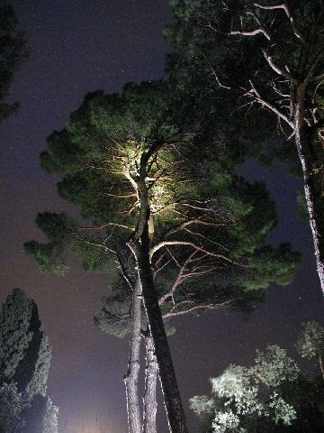 Silvia Ghirelli e Daniele Canuti - progetto illuminazione