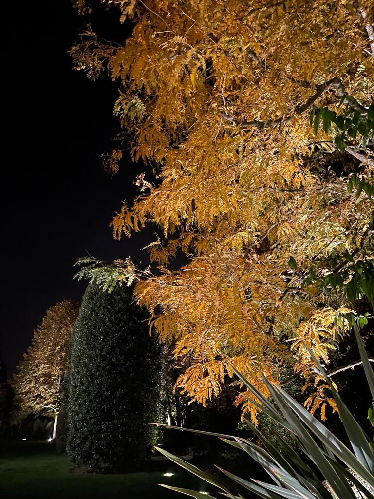 Silvia Ghirelli e Daniele Canuti - progetto illuminazione