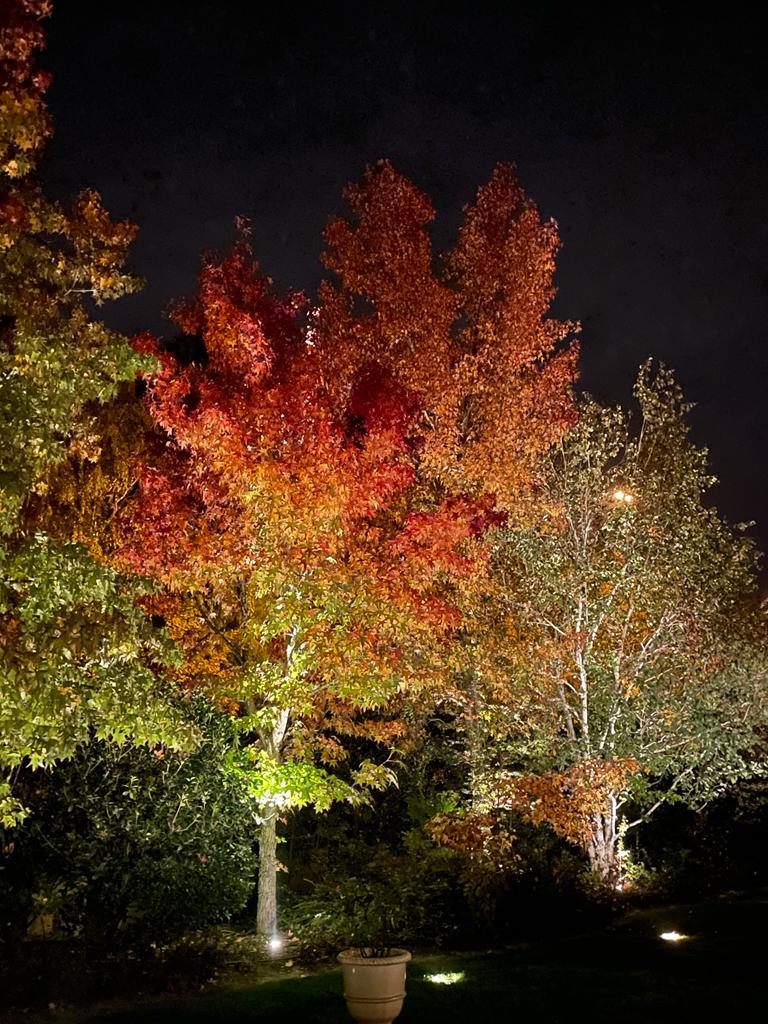 Silvia Ghirelli e Daniele Canuti - progetto illuminazione