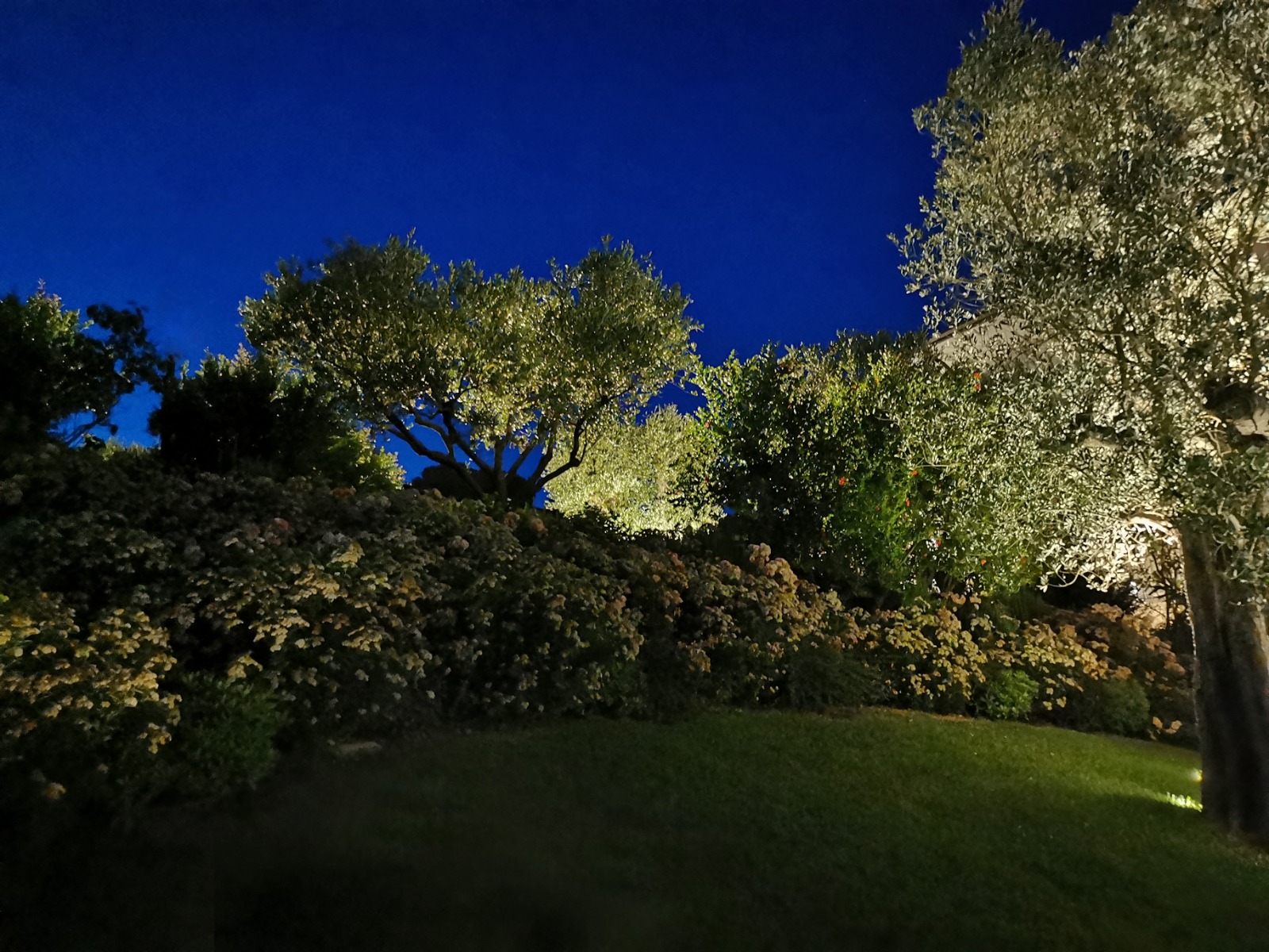 Silvia Ghirelli e Daniele Canuti - progetto illuminazione